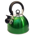 BOUILLOIRE ACIER INOX 2.5 L VERTE A POIGNEE
