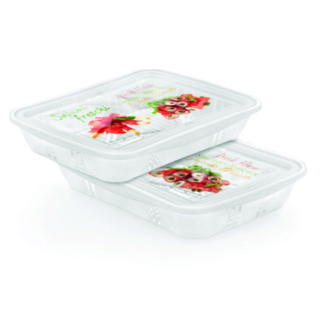 BOITES PLASTIQUES 1.5L RECTANGULAIRE SET 2 PIECES