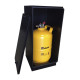 COFFRE A GAZ PR DOUBLE RESERVOIRS GPL 11KG
