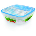 FRESH LUNCH BOX