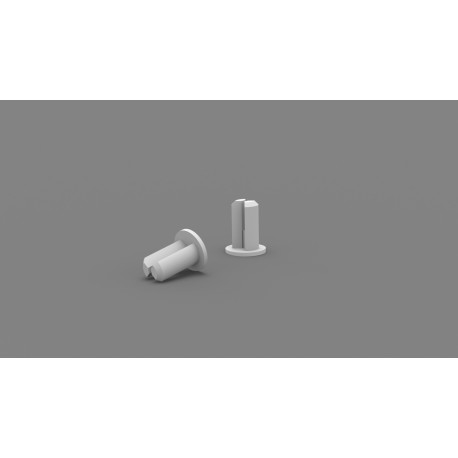 RIVET STORE F45I 2 PCS
