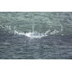 TAPIS FLINT 2,5 x 7,0 M ISABELLA