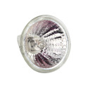 HALOGENE G4 50 W - 12V