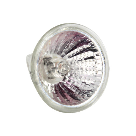 HALOGENE G4 50 W - 12V