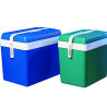 GLACIERE 35L VERT / GRIS PERLE