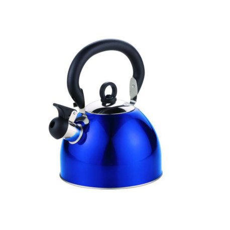 Bouilloire acier inox 2.5 L bleue à poignée