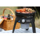 CARTOUCHE DE GAZ FILETEE 500G
