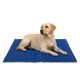 Tapis rafraichissant 80 x 60 cm pour animaux