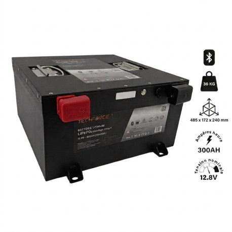 Batterie Lithium LiFePO4 12V 300Ah Bluetooth TECHFORCE